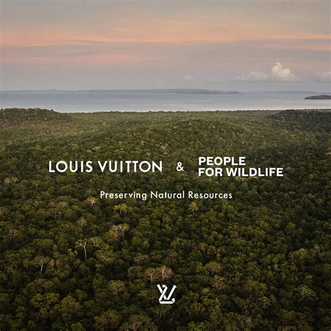 louis vuitton sustainability report 2020|lvmh report 2022.